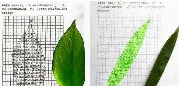 方格紙法