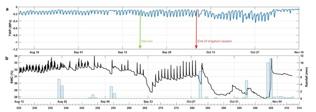極端干旱（Megadrought）下的蘋果樹生存表現
